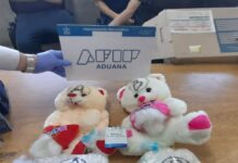 Aduana detiene envío a Hong Kong de cocaína impregnada en osos de peluche