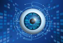 Las Aduanas y el poder de la información