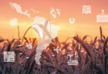 Comercio agroalimentario intrarregional en ALC: dónde estamos y hacia dónde debemos orientar la acción