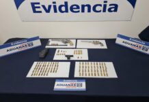 Chile incauta armas, mira láser y municiones a camionero en paso fronterizo Los Libertadores