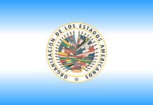 Nombran a Sonia Cavallo representante de Argentina ante la OEA