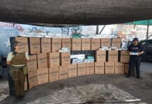 Chile: Aduanas intercepta 14 mil cajetillas de cigarrillos ilegales antes de ser enviadas por correo en Arica