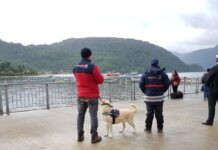 Chile se une a Comunidad Regional de Especialistas K9 de Aduanas de las Américas y el Caribe