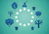 Exportaciones a la UE: SENASA explica cómo autorizar el acceso a los datos del RENSPA para cumplir con el EUDR