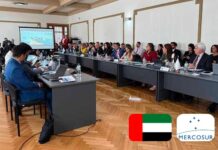 MERCOSUR y Emiratos Árabes Unidos avanzan en negociaciones para una asociación económica La ronda de negociaciones se extendIó hasta el próximo 1 de noviembre. |Foto: Ministerio de Relaciones Exteriores del Paraguay. | Intervención. Aduana News
