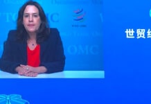 Johanna Hill, DGA de la OMC, insta a fortalecer la cooperación global para enfrentar nuevos desafíos