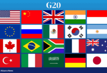 La OMC alerta sobre el aumento de barreras comerciales del G20