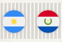 Nuevo destino para carne y menudencias porcinas de Argentina: Paraguay abre su mercado