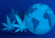 Informe UNODC 2025: alerta por auge global de drogas