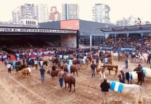 137° Exposición Rural: novedades que inciden en el comercio exterior argentino