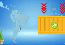 Sostenibilidad y comercio verde
