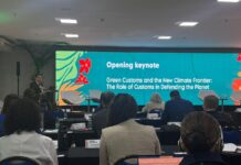 Aduanas Verdes en la COP30: Derecho Público Económico y Tendencias del Arreglo Institucional Brasileño para el Control Ambiental en la Frontera
