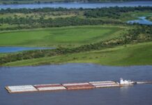 Argentina: el agro liquidó USD 2.032 millones en marzo, con fuerte suba mensual