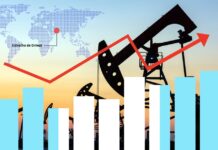 Customs valuation in commodity exports: the Argentine case in the face of the tension between transaction value and international prices