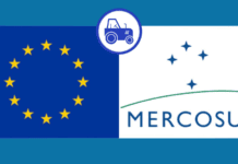 MERCOSUR-UE: en mayo comienzan a operar lo contingentes agropecuarios bajo nuevas reglas