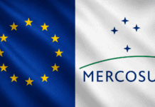 MERCOSUR-UE: arroz, miel y huevos exponen el funcionamiento de las cuotas regionales