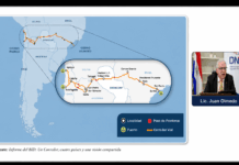 Capricorn Bioceanic Corridor: Paraguay builds management institutions in parallel with border infrastructure